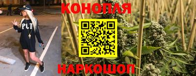 гидропоника Чебоксары